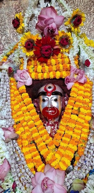 এই তিথিতে বাড়িতে বা মন্দিরে মা কালীকে নিবেদন করুন লালজবার মালা। লালপদ্ম এবং রক্তকরবীও নিবেদন করতে পারেন।
