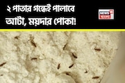 বর্ষায় খুদে পোকা কিলবিল করছে আটা ময়দায়? এই ২ পাতার গন্ধেই সুড়সুড়িয়ে পালাবে পোকার দল!