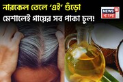 দামী হেয়ার কালার-কলপের খেল খতম! তেলে ‘এই’ গুঁড়ো ৩ চামচ মিশিয়ে মাখলেই গায়েব সাদা চুল