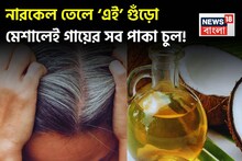 দামী হেয়ার কালার-কলপের খেল খতম! তেলে ‘এই’ গুঁড়ো ৩ চামচ মিশিয়ে মাখলেই গায়েব সাদা চুল