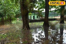 বন্ধ হল চিড়িয়াখানার দরজা, পর্যটকদের প্রবেশ নিষেধ! ফের কবে খুলবে?