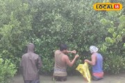 বর্ষার ভরা জোয়ারে নেমে পড়েন নদীতে! সুন্দরবন বাঁচাতে এই যুবকরা যা করেন...! সত্যিই অনবদ্য