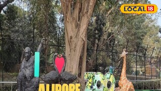 আলিপুর চিড়িয়াখানা 