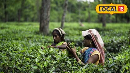 প্রতিকী ছবি। প্রতিকী ছবি।