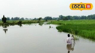 প্রতিকী ছবি। প্রতিকী ছবি।