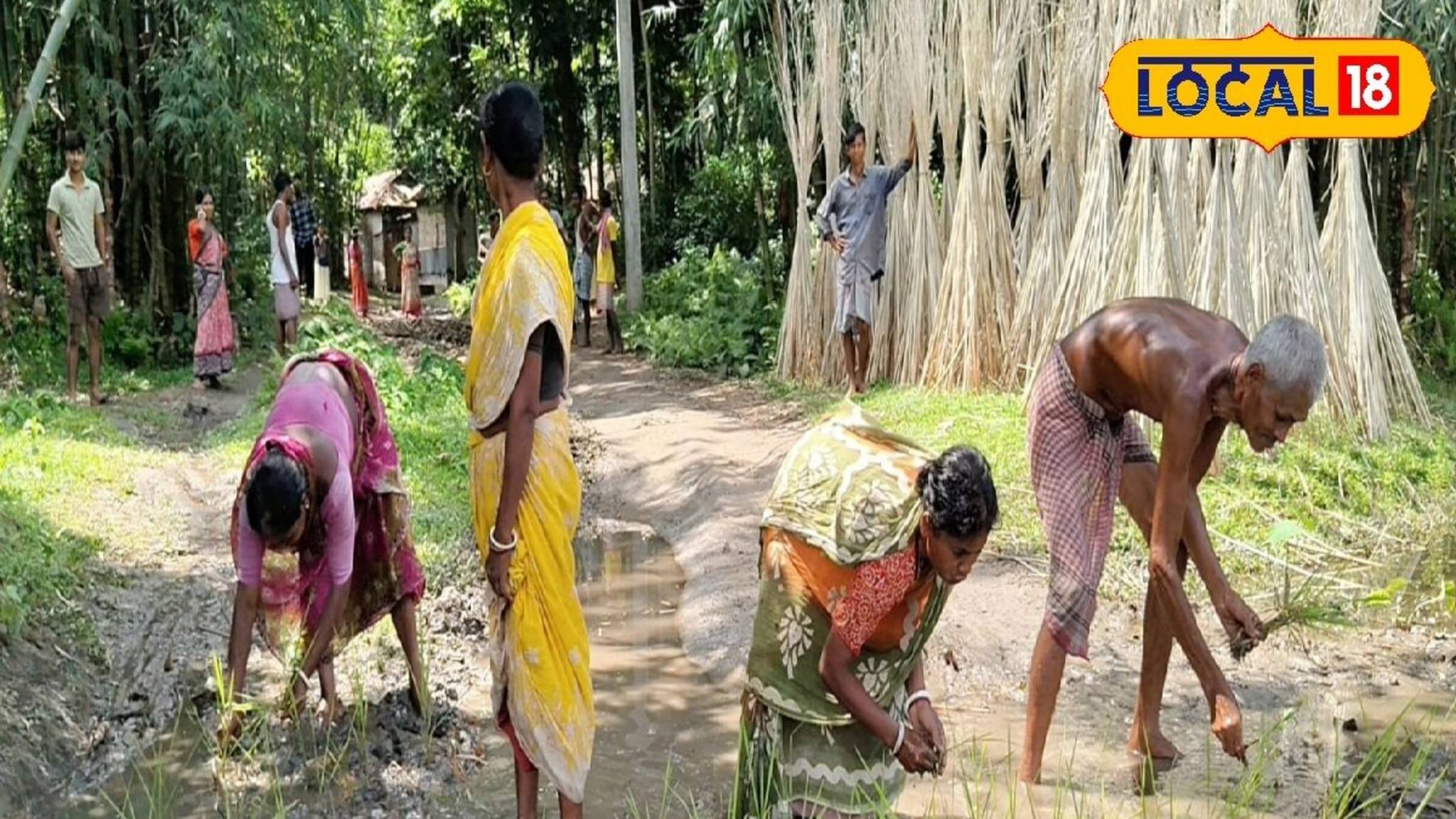 রাস্তায় ধানের চারা রোপণেও সুরাহা অধরা! ৩০ বছরের যন্ত্রণার মূলে কী জানেন?