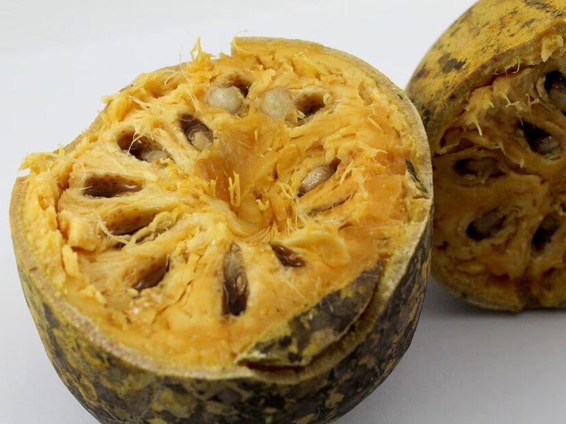 এই বেল খোলা দিয়ে রোজগার করছেন বাঁকুড়ার বিভিন্ন প্রান্তে থাকা মহিলারা। মহাজনের হাত ধরে চলছে এই বেল মালার শিল্প। বেল মালা তৈরি করার জন্য প্রয়োজন- একটি বাসের কুঞ্চি, এক থেকে দেড় ফুটের মোটা সুতো, চাঁদ থেকে ৫ ইঞ্চির একটি মোটা তার ও এক টুকরো নারকেলের খোলা। এগুলি দিয়েই তৈরি হয়েছে কাজের যন্ত্র।