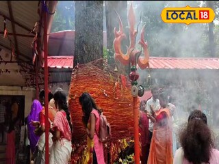 বাগডোগরা জঙ্গলী বাবার মন্দির।