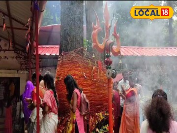 বাগডোগরা জঙ্গলী বাবার মন্দির।
