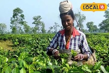 হাড়হিম দৃশ্য! চিতাবাঘের ভয়ে খাঁচায় বন্দি শিশুরা