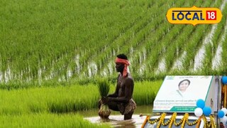 প্রতিকী ছবি।