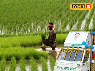 প্রতিকী ছবি।