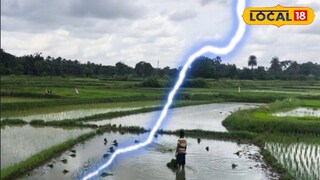 প্রতিকী ছবি। প্রতিকী ছবি।