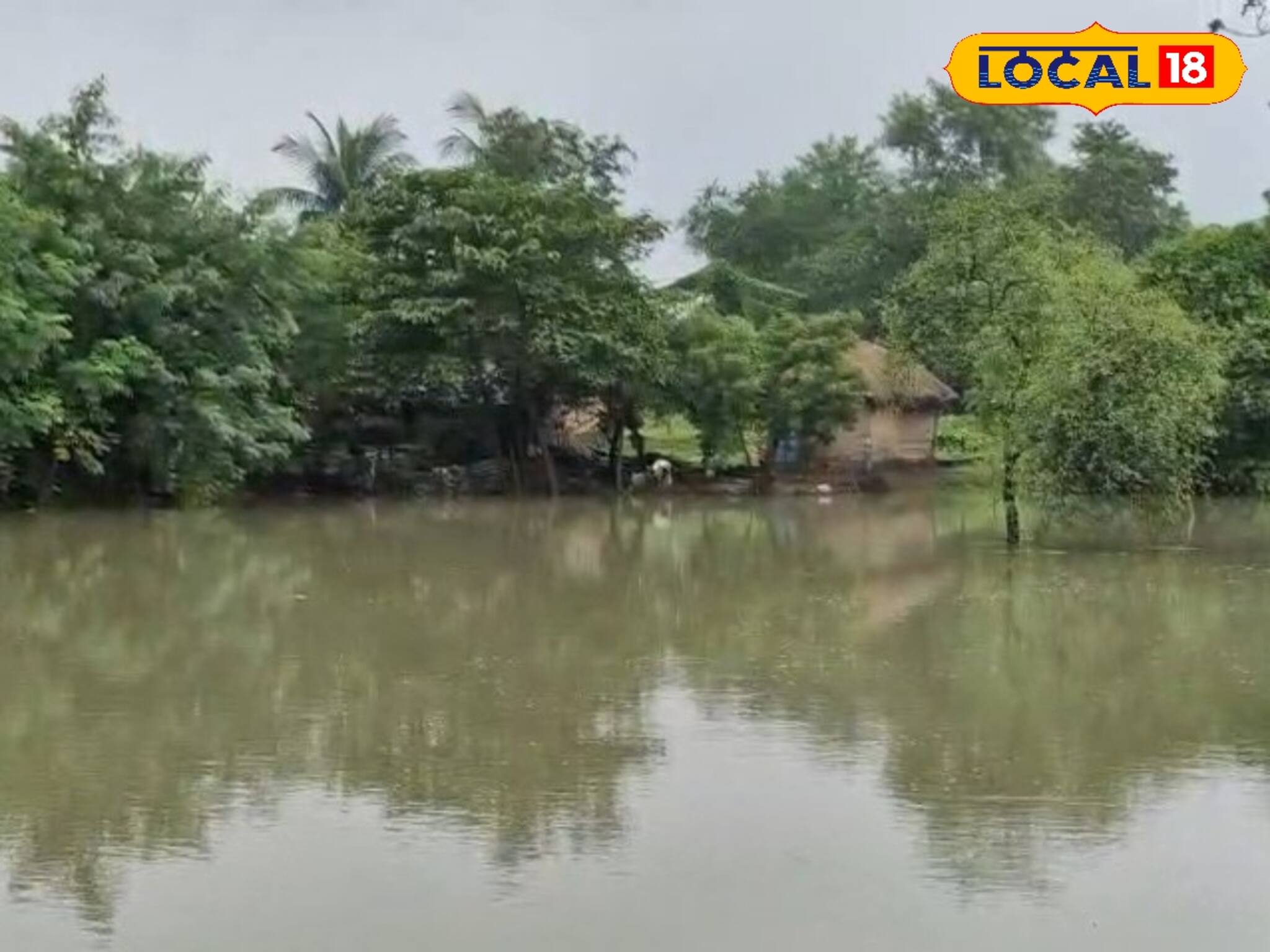 কালভার্ট হয়ে গেল বিপদের কারণ! ভেসে যাচ্ছে বর্ধমানের 'এই' গ্রাম