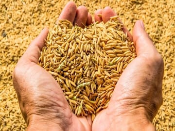 প্রতীকী ছবি প্রতীকী ছবি