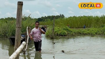 বিদ্যালয়ের