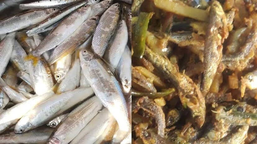 ভিটামিন এবং খনিজ পদার্থ: এটি ভিটামিন এ, ডি, ই এবং বি ভিটামিন যেমন B1, B2, B6, B12-এর একটি চমৎকার উৎস। এছাড়া এতে ফসফরাস, ক্যালসিয়াম, আয়রন, জিঙ্ক এবং ম্যাগনেসিয়ামের মতো গুরুত্বপূর্ণ খনিজও থাকে। ওমেগা-৩ ফ্যাটি অ্যাসিড: এতে ওমেগা-৩ ফ্যাটি অ্যাসিড থাকে, যা হৃদপিণ্ডের স্বাস্থ্য উন্নত করতে, কোলেস্টেরল কমাতে এবং মস্তিষ্কের কার্যকারিতা বাড়াতে সাহায্য করে।