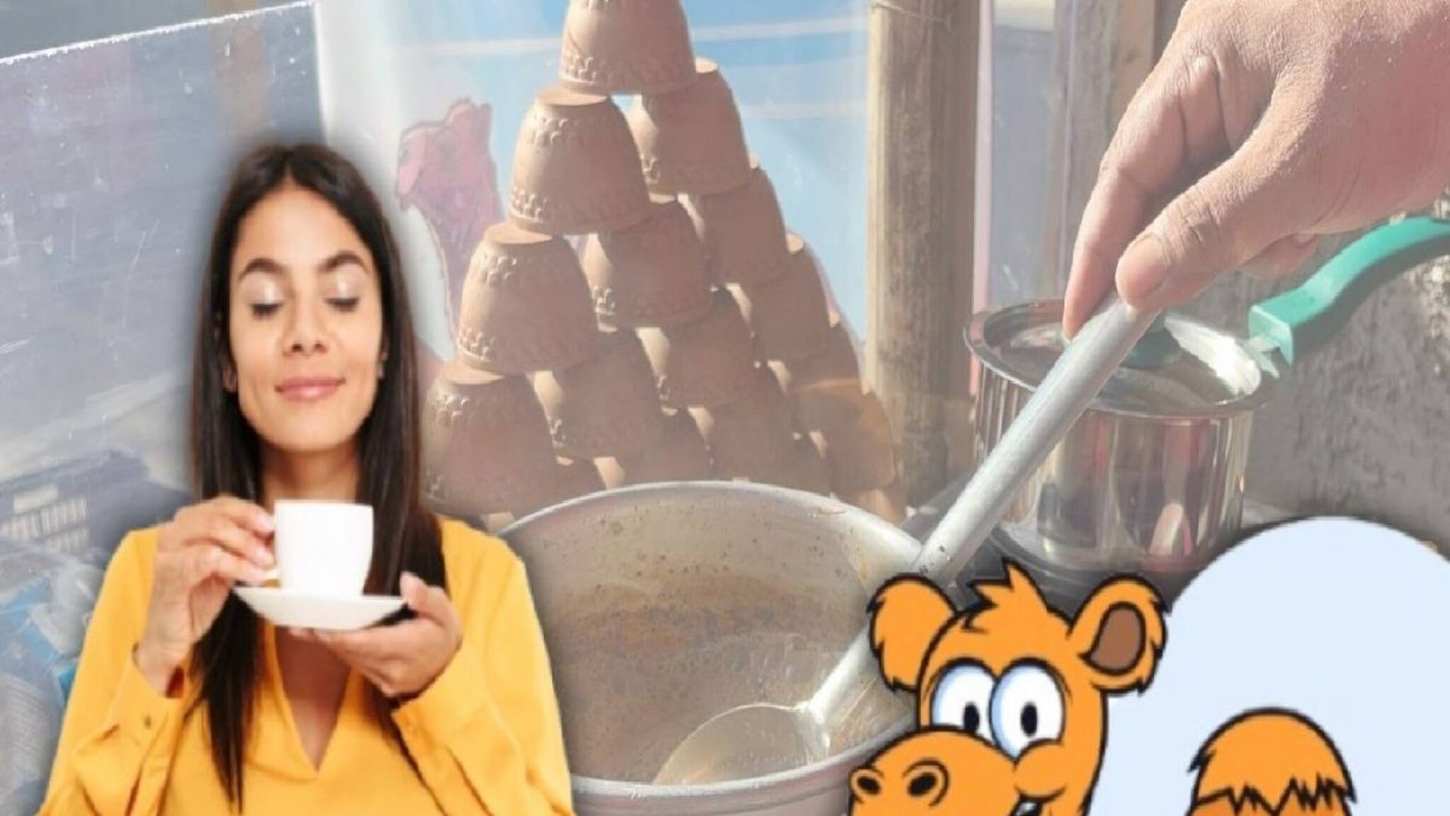 ৪৫০০ টাকা কেজি উটের দুধের চা বানাচ্ছেন বীরভূমের দোকানদার! কোথায়, কত দাম? জানুন উপকারিতা