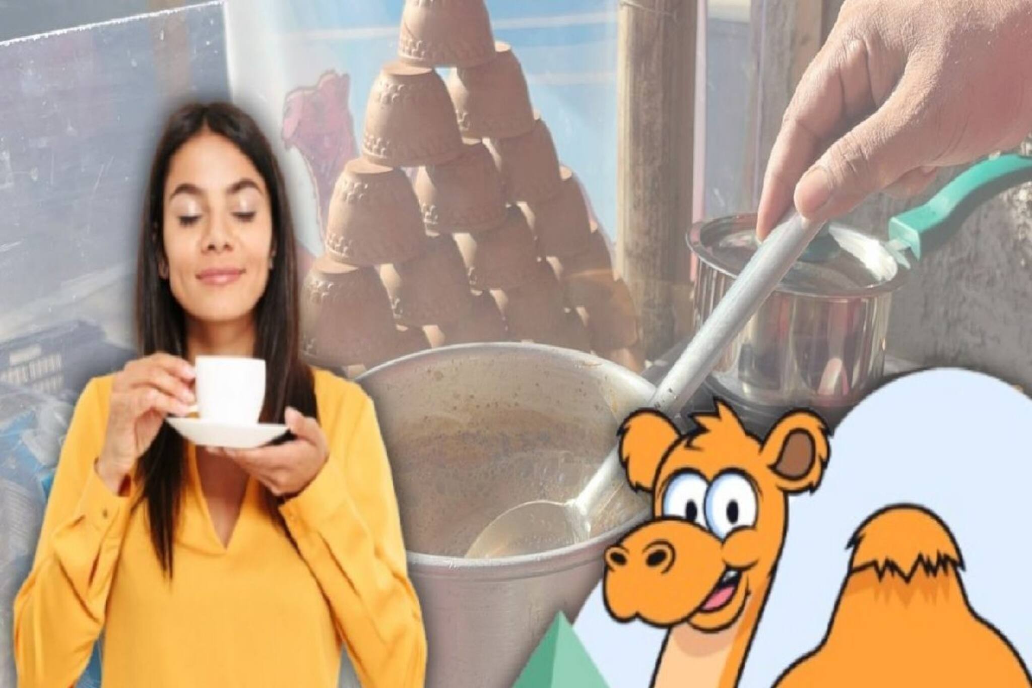 ৪৫০০ টাকা কেজি উটের দুধের চা বানাচ্ছেন বীরভূমের দোকানদার! কোথায়, কত দাম? জানুন উপকারিতা