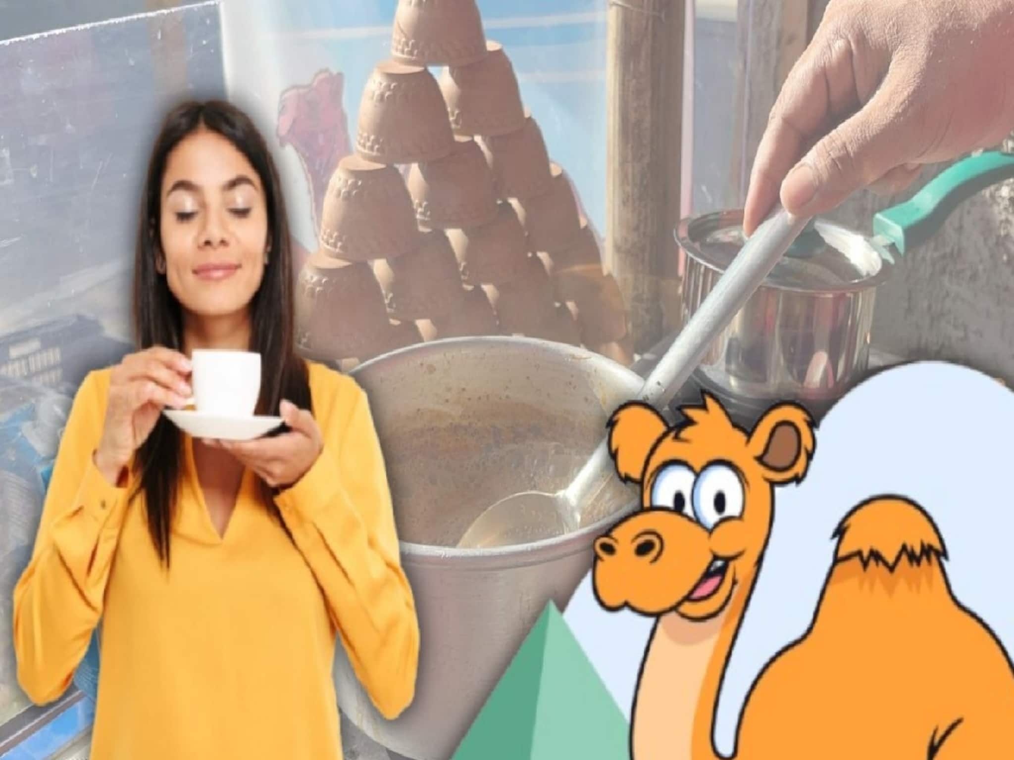 ৪৫০০ টাকা কেজি উটের দুধের চা বানাচ্ছেন বীরভূমের দোকানদার! কোথায়, কত দাম? জানুন উপকারিতা