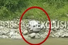 জোড়থাংয়ে নিয়ন্ত্রণ হারিয়ে খাদে পড়ল গাড়ি! শিশু-সহ ২ জনের অবস্থা আশঙ্কাজনক
