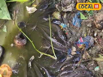 পুকুরে মরা শিঙি মাছ