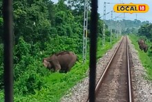 রেললাইনে হঠাৎ হাতির দল! শেষ মুহূর্তে ব্রেক কষে বিপদ থেকে রক্ষা