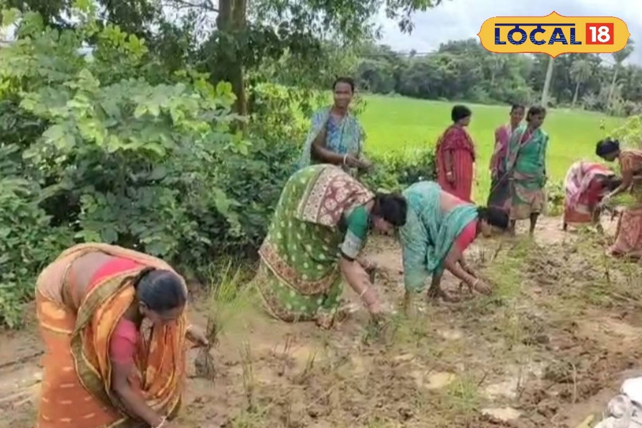 ধানের জমির চেয়েও খারাপ রাস্তা! গ্রামবাসীদের নিত্য দুর্ভোগ