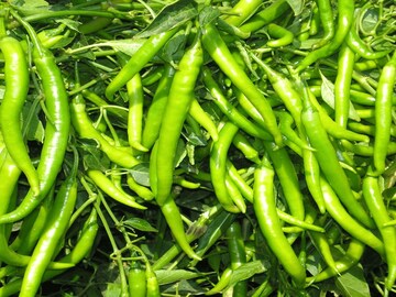 ঝাল খেলেই বিপদ? না, রোজ একটা কাঁচালঙ্কা হতে পারে শরীরের বন্ধু