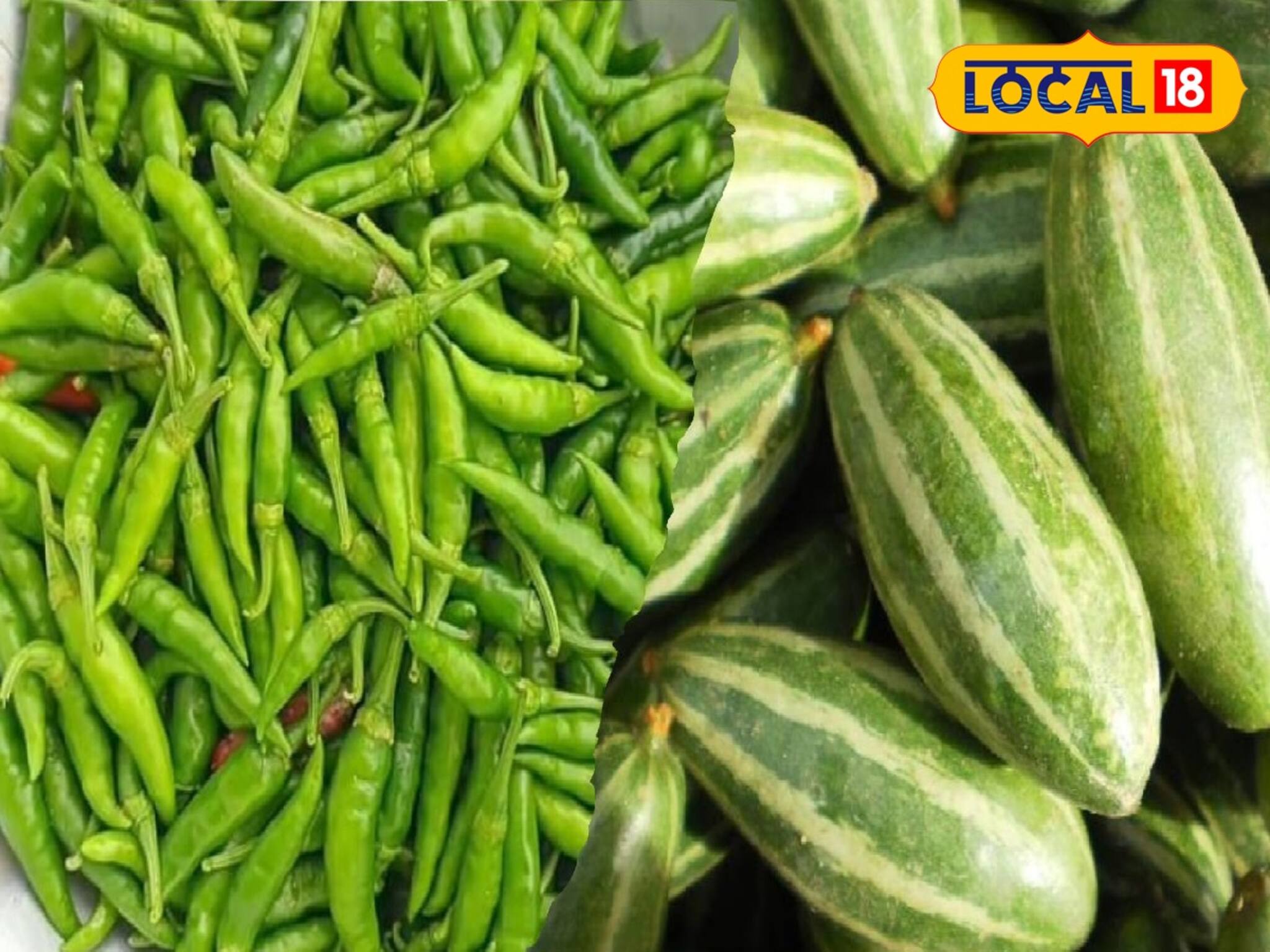 পটল, লঙ্কা চাষই করবেন না চাষিরা? বড় পদক্ষেপের পথে মুর্শিদাবাদের এইসব এলাকার কৃষকরা!