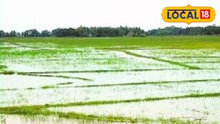 প্রতিকী ছবি।