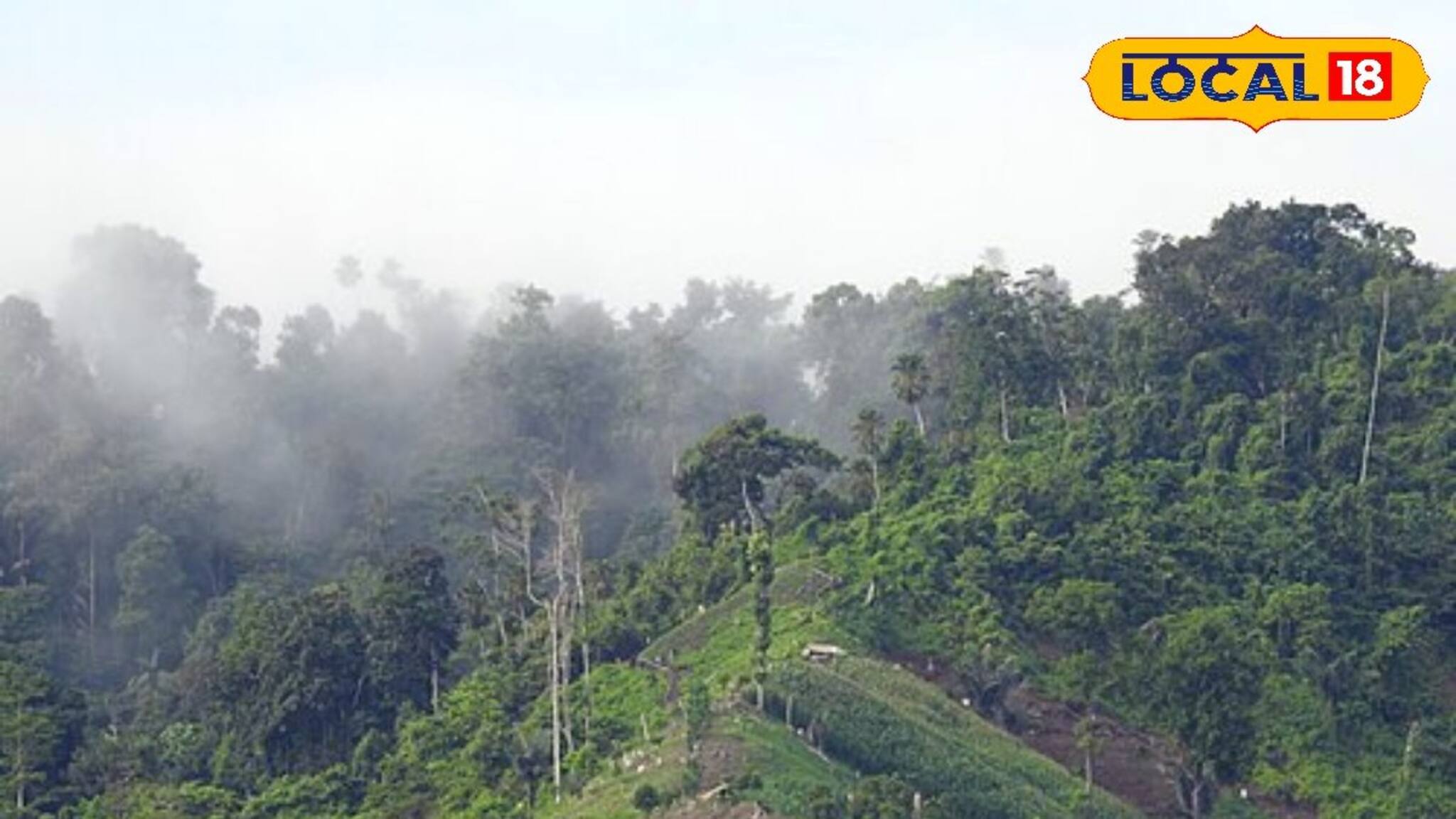 পাহাড়ের ঢালে বড় সঙ্কট, প্রাচীন পদ্ধতি বিপদে! প্রায় শেষ হয়ে যাচ্ছে ‘জুম চাষ’