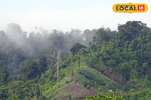 আজ দার্জিলিঙে খুঁজেও মিলছে না, অথচ একসময় ছিল ভরসার কেন্দ্র