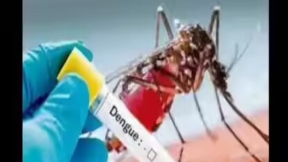 Photo- Representative Photo- Representative