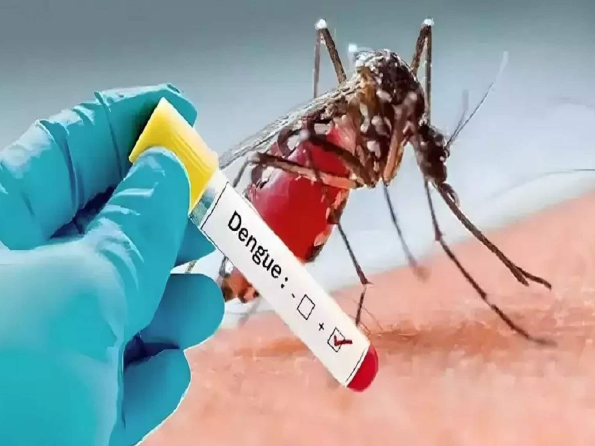 Dengue: ডেঙ্গি আক্রান্ত হয়ে মৃত্যু চার বছরের শিশুকন্যার! প্লেটলেট কাউন্ট ছিল এক লক্ষ ৮০ হাজার
