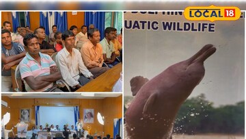 সার্কিট