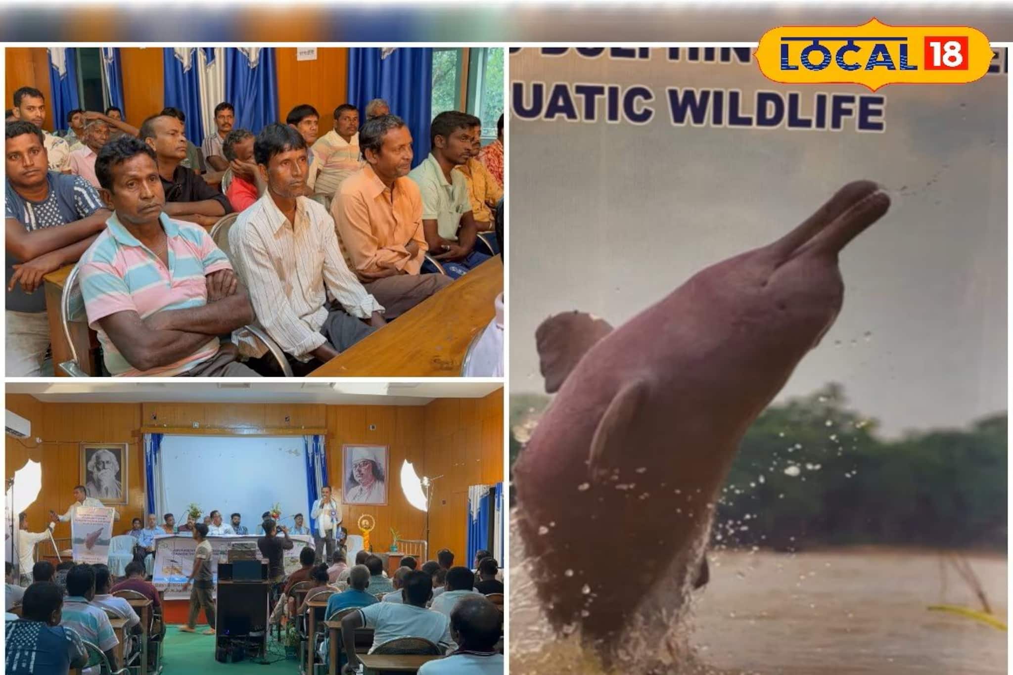 ডলফিনকে ঘিরে বাংলায় গড়ে উঠবে পর্যটন শিল্প! কোথায় জানলে আপনিও যেতে চাইবেন