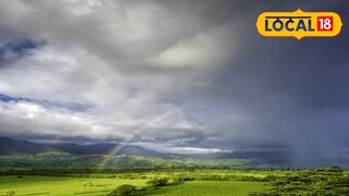 বৃষ্টি এখন স্বস্তি এনেছে ডুয়ার্সে বৃষ্টি এখন স্বস্তি এনেছে ডুয়ার্সে