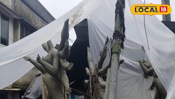 বৃষ্টিতে