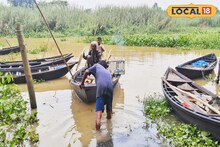 দেশি মাছ আর থাকছে না? চায়না জালে বিপদে দুর্গাপুর ব্যারেজ