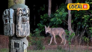 প্রতিকী ছবি।