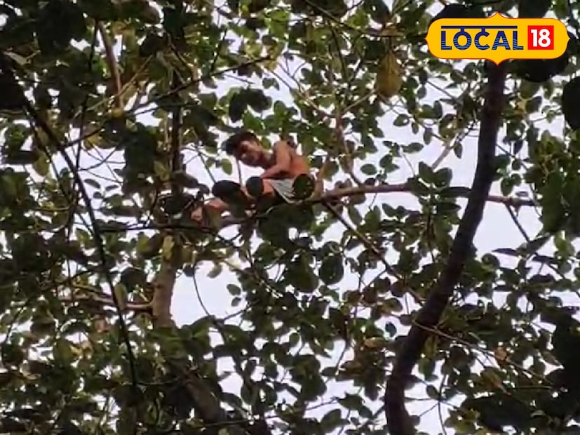 ঘটনার খবর পেয়ে মন্দির কমিটি পুলিশের সঙ্গে যোগাযোগ করে। পরে দমকল ও পুলিশ মিলে অভিযানে নামে। যুবকের পায়ে দড়ি বেঁধে, গাছের নিচে জাল টাঙিয়ে নিরাপদে নামানোর চেষ্টা শুরু করেন তাঁরা। অবশেষে বেশ কয়েক ঘন্টা পরে তাঁকে নামানো সম্ভব হয়েছে।