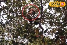 ঘরে অশান্তি করে গাছের মগডালে, নামাতে যুবকের পায়ে দড়ি! কীভাবে হল উদ্ধার?