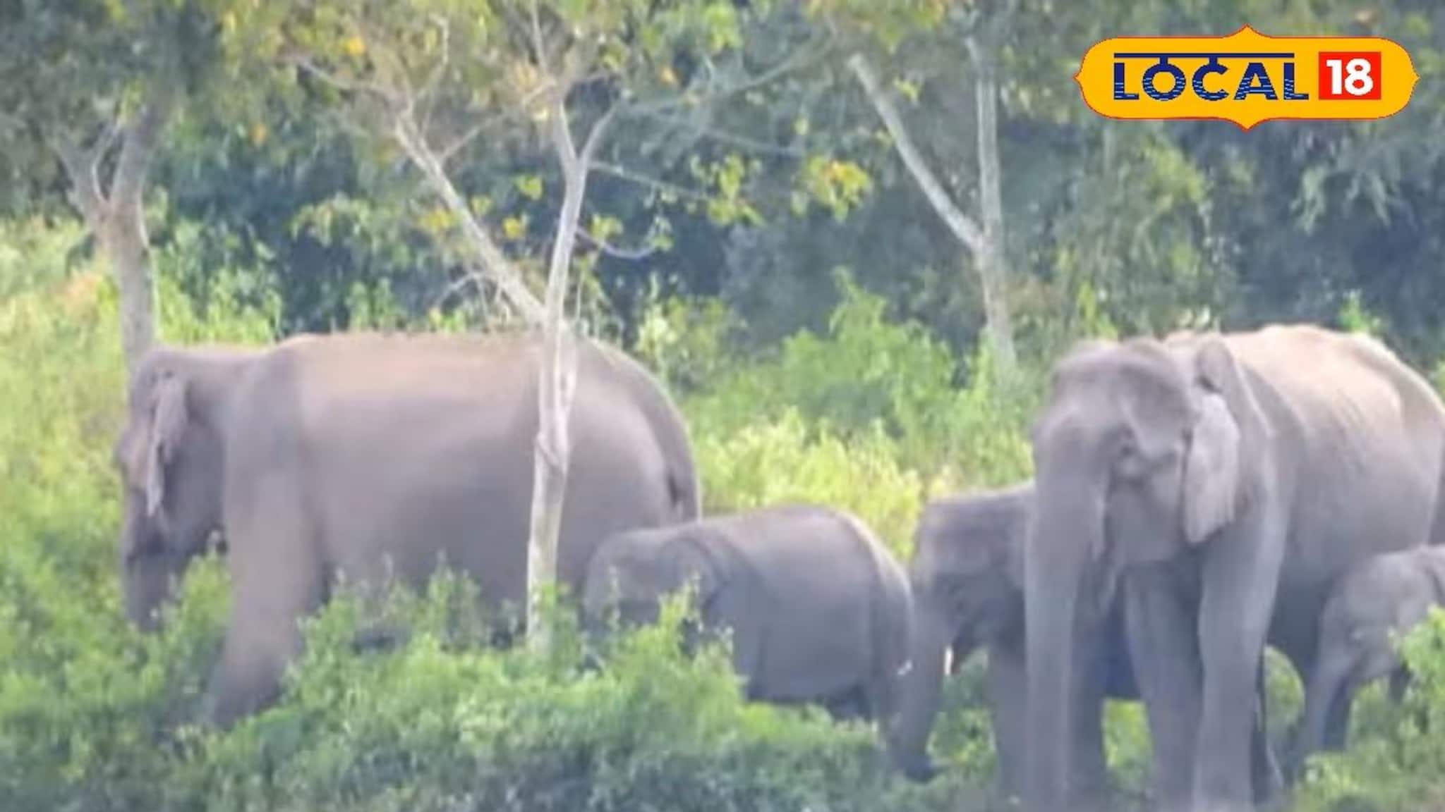 এমার্জেন্সি ব্রেক চেপে কোনরকমে রেহাই! বড় ঘটনার হাত থেকে বাঁচালেন দুই ট্রেন চালক