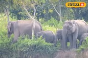এমার্জেন্সি ব্রেক চেপে কোনরকমে রেহাই! বড় ঘটনার হাত থেকে বাঁচালেন দুই ট্রেন চালক