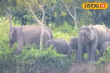 এমার্জেন্সি ব্রেক চেপে কোনরকমে রেহাই! বড় ঘটনার হাত থেকে বাঁচালেন দুই ট্রেন চালক