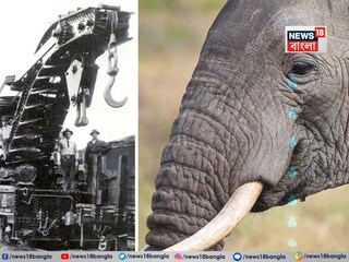 কেন এমন করা হয়েছিল জানেন?