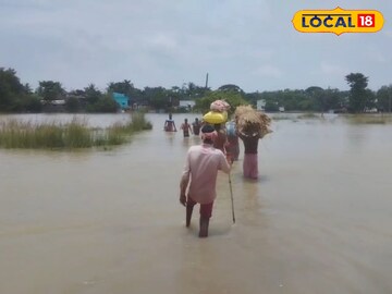 রায়নায়