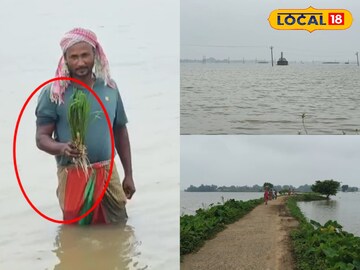কৃষি