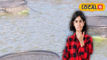 মাছ চাষে ক্ষতি মাছ চাষে ক্ষতি